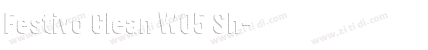 Festivo Clean W05 Sh字体转换 Festivo Clean W05 Sh字体转换